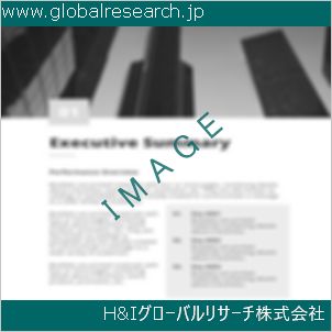 グローバルリサーチ調査資料のイメージ